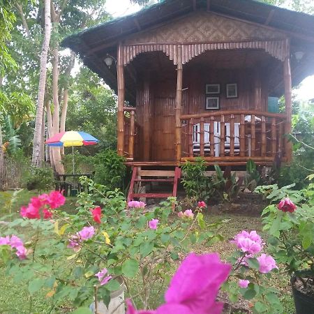 Casa De Corazon Lägenhet Anda  Exteriör bild